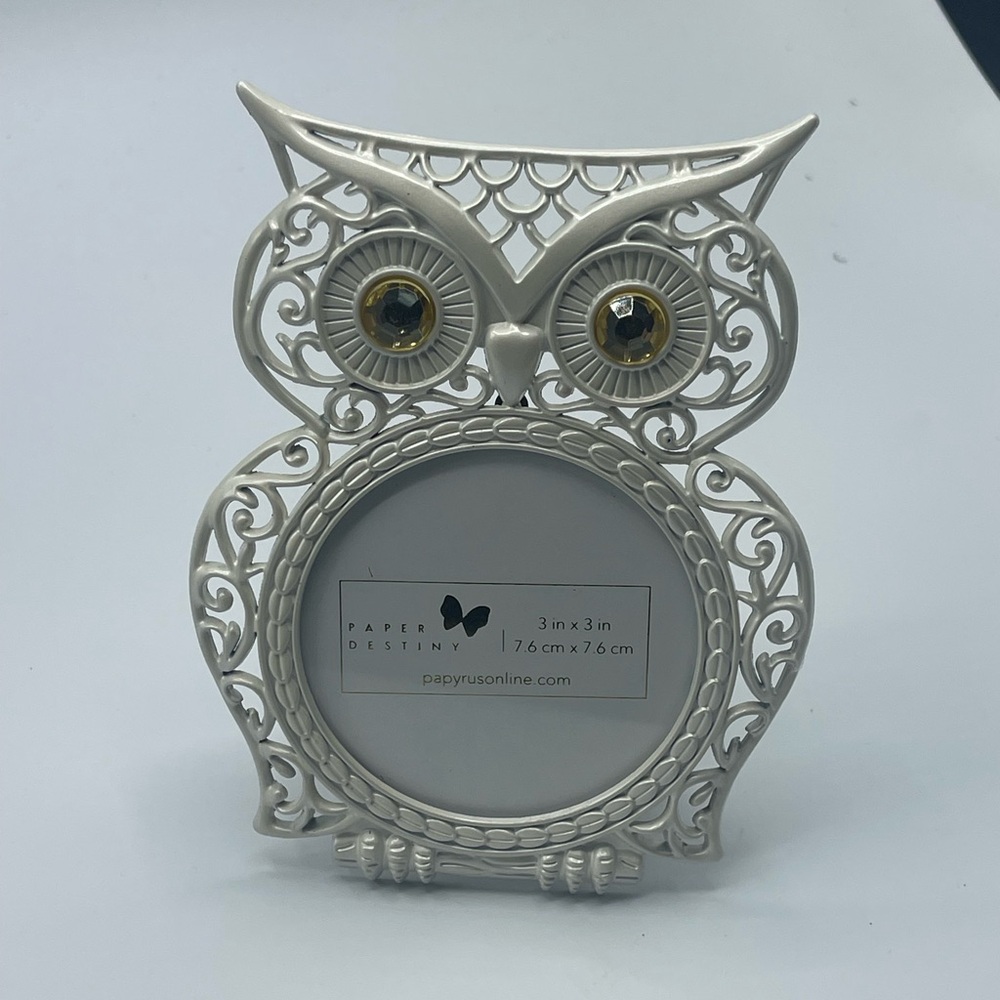 Silver Owl Decorative Frame